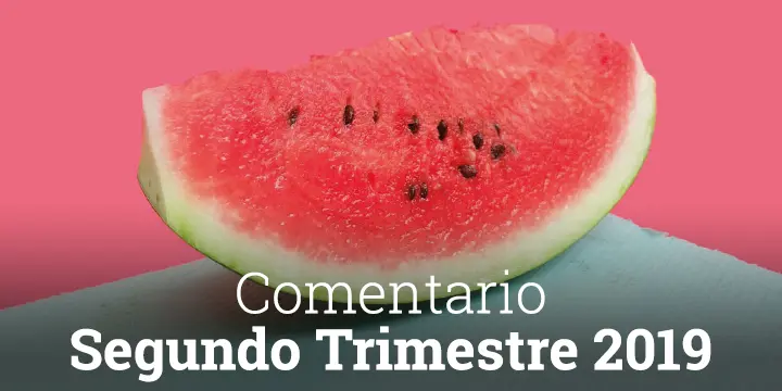 Comentario Cobas AM Segundo Trimestre 2019