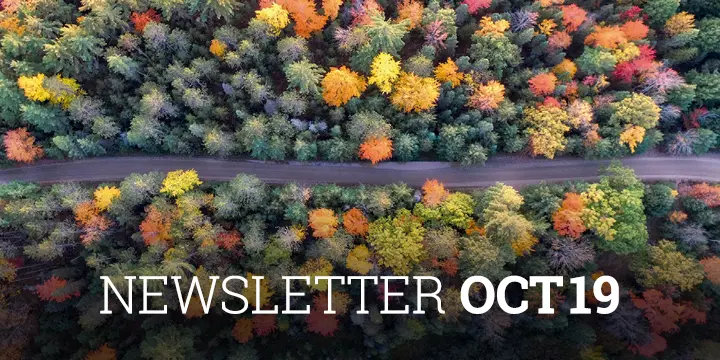 Newsletter Cobas AM Octubre 2019