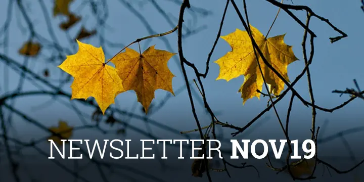 Newsletter Cobas AM Noviembre 2019