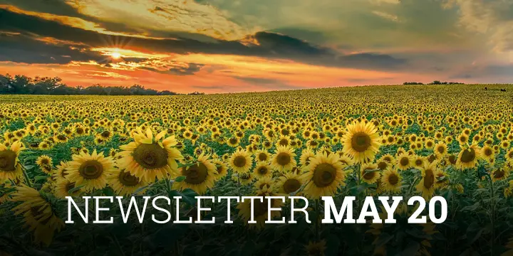 Newsletter Cobas AM Mayo 2020