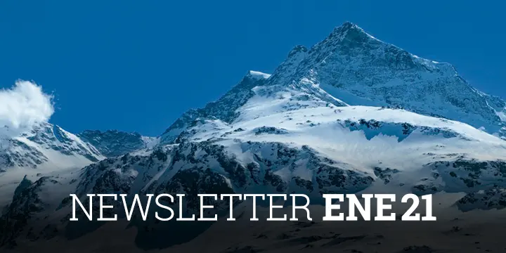 Newsletter Cobas AM Enero 2021