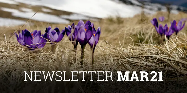 Newsletter Cobas AM Marzo 2021