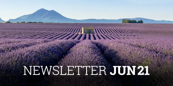 Newsletter Cobas AM Junio 2021