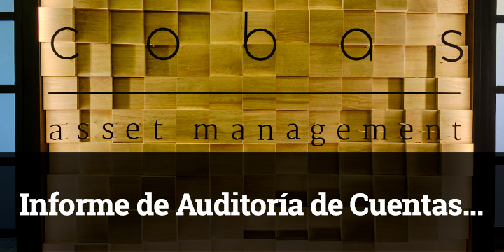 Informe-Auditoria-31-12-2019