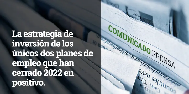 Prensa Cobas AM- Estrategia de inversion de los planes de empleo