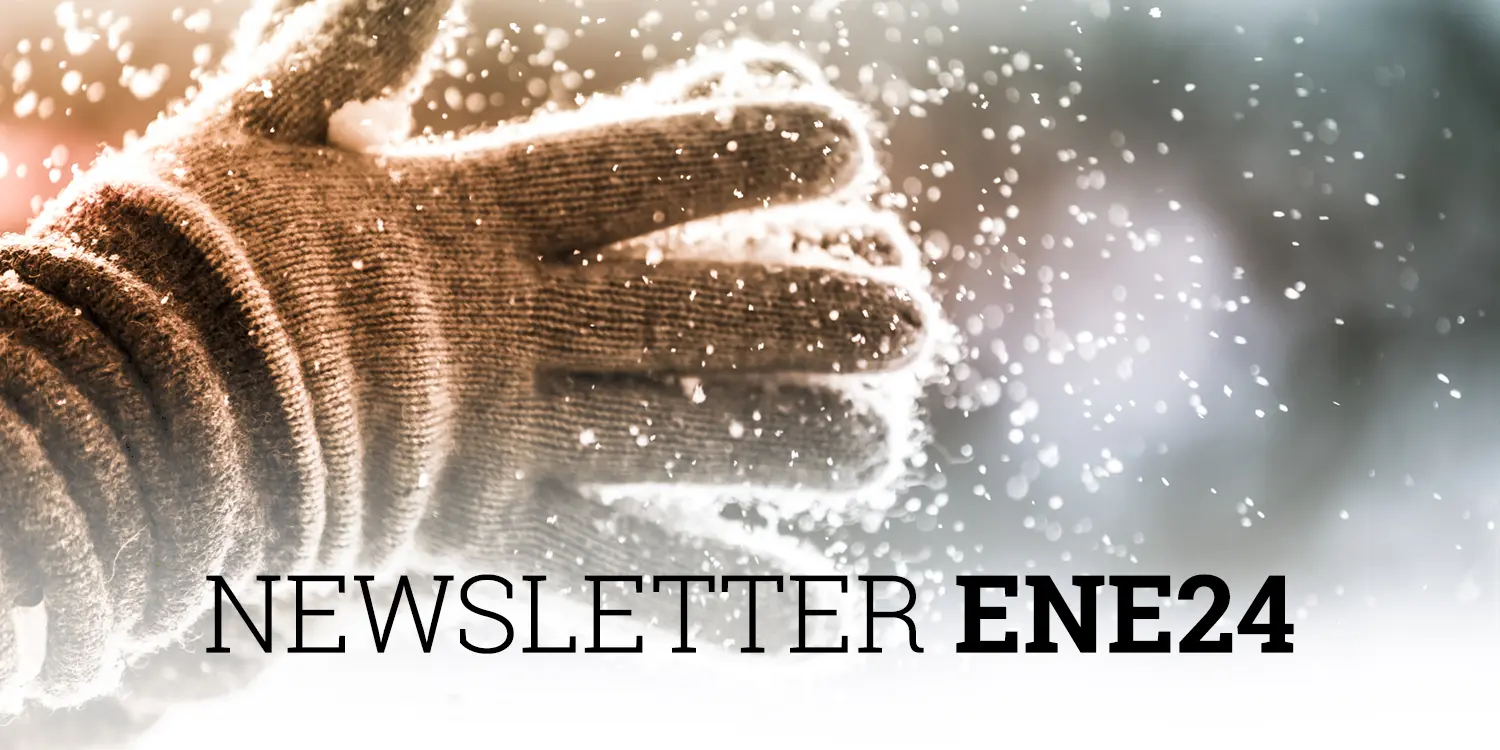 Newsletter Cobas AM-Enero 2024