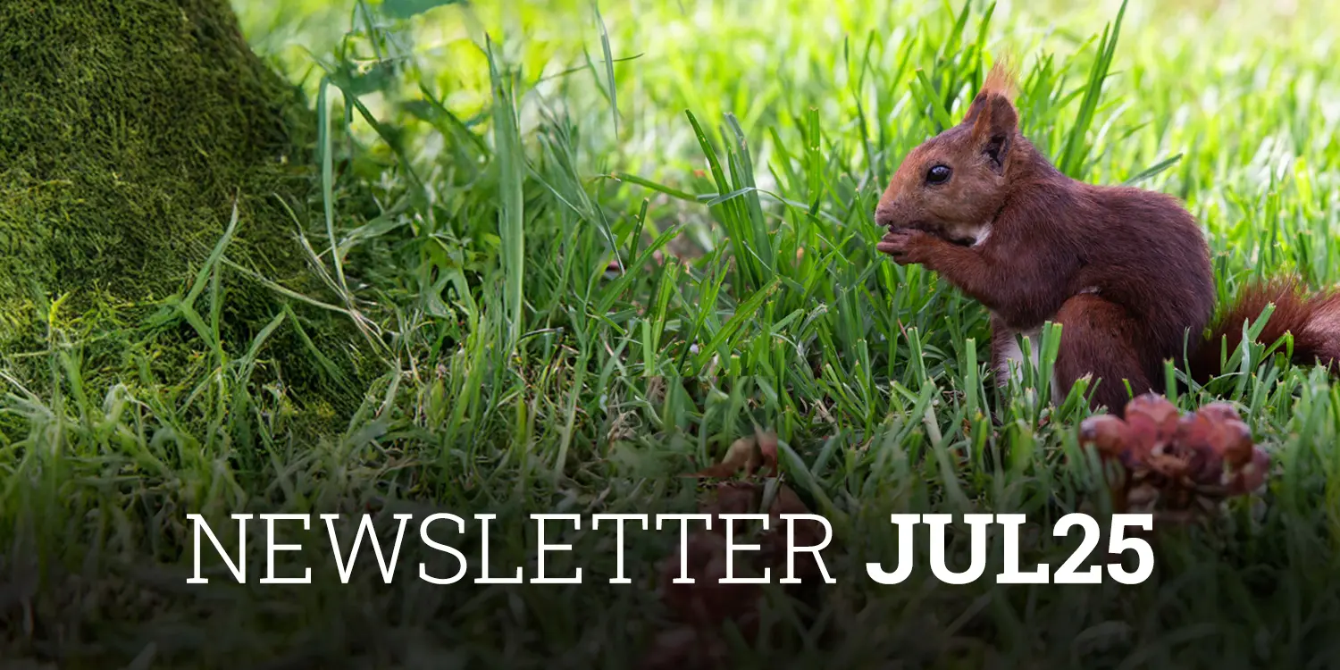 Newsletter-Cobas-AM-Julio-2025