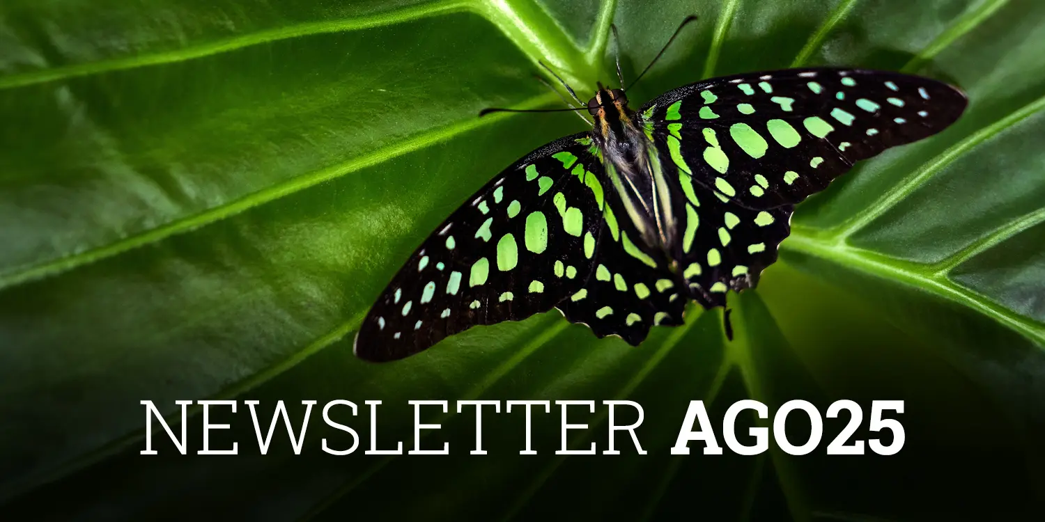Newsletter-Cobas-AM-Agosto-2025