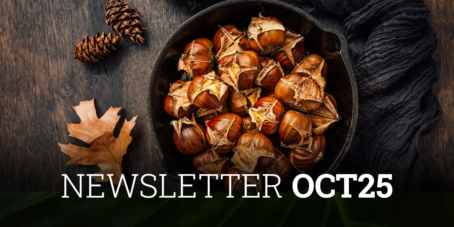 Newsletter-Cobas-AM-Octubre-2025
