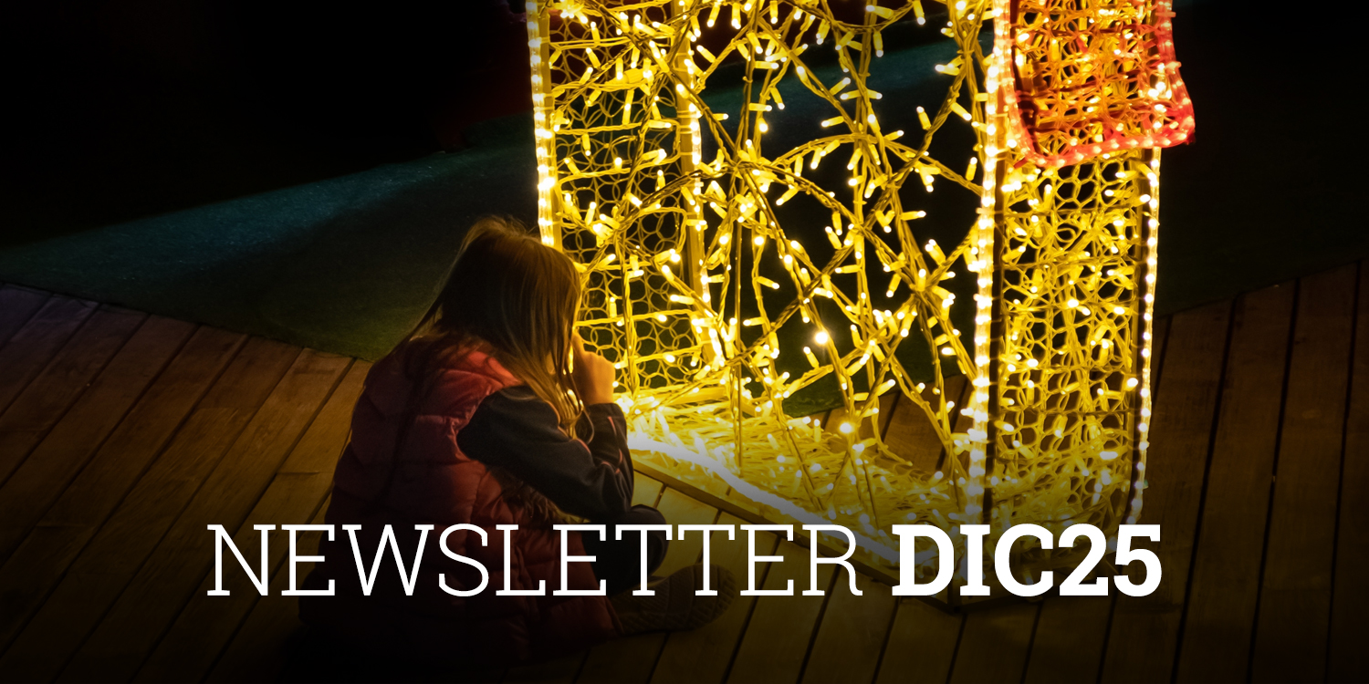 Newsletter-Cobas-AM-Dic2025