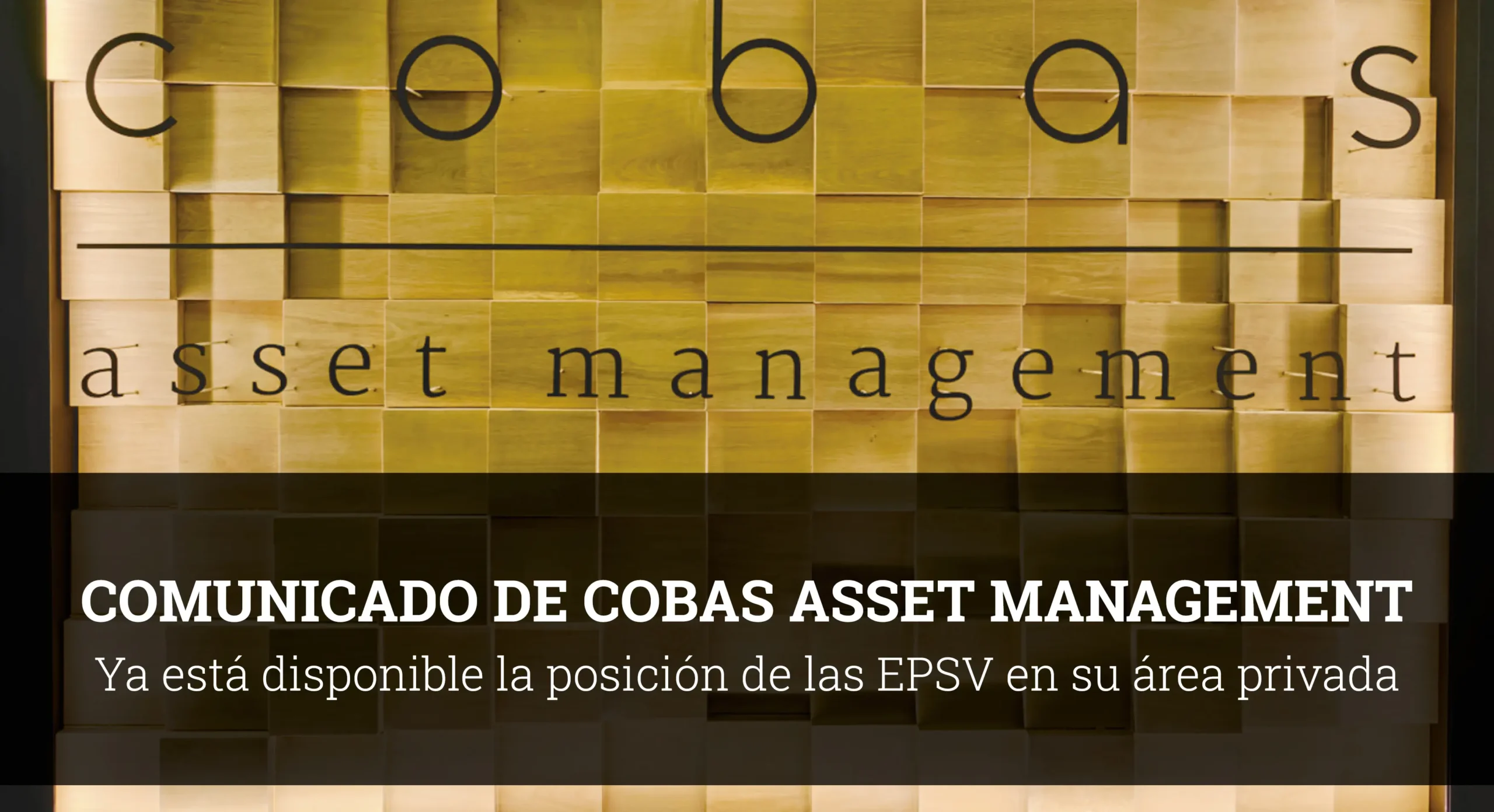 Comunicado-Cobas-AM-Ya-puede-consultar-la-posicion-de-las-EPSV